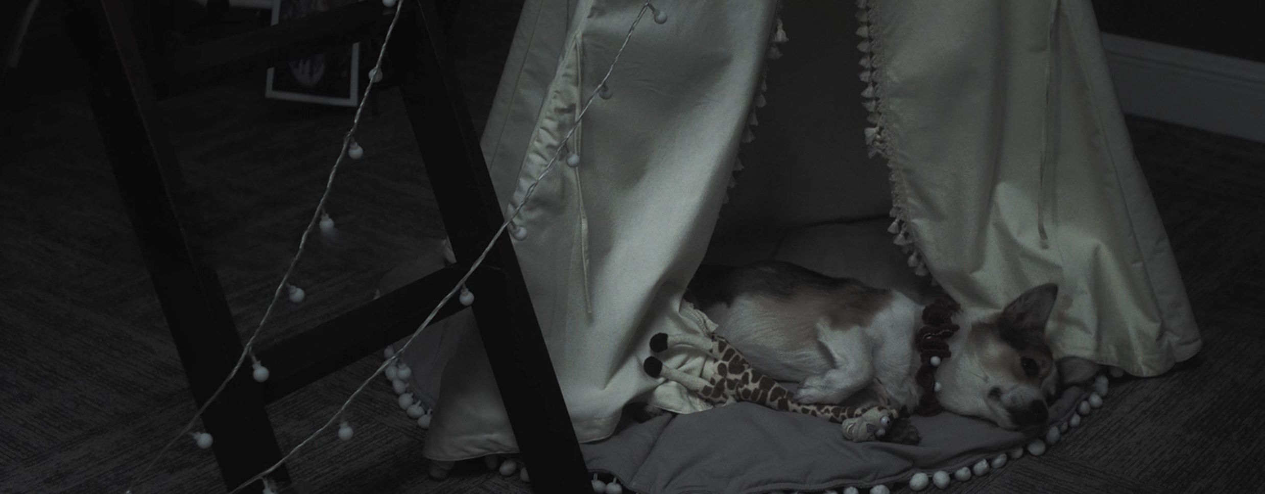 Xiaomi Mi Home Security 360° 1080P