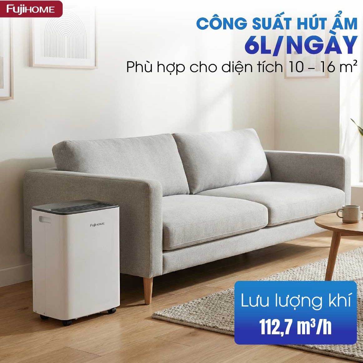 Máy hút ẩm dân dụng Fujihome DH06LITE