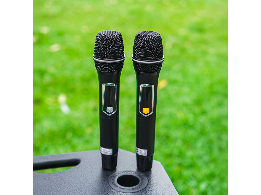 Loa karaoke đi kèm 2 micro Loa karaoke