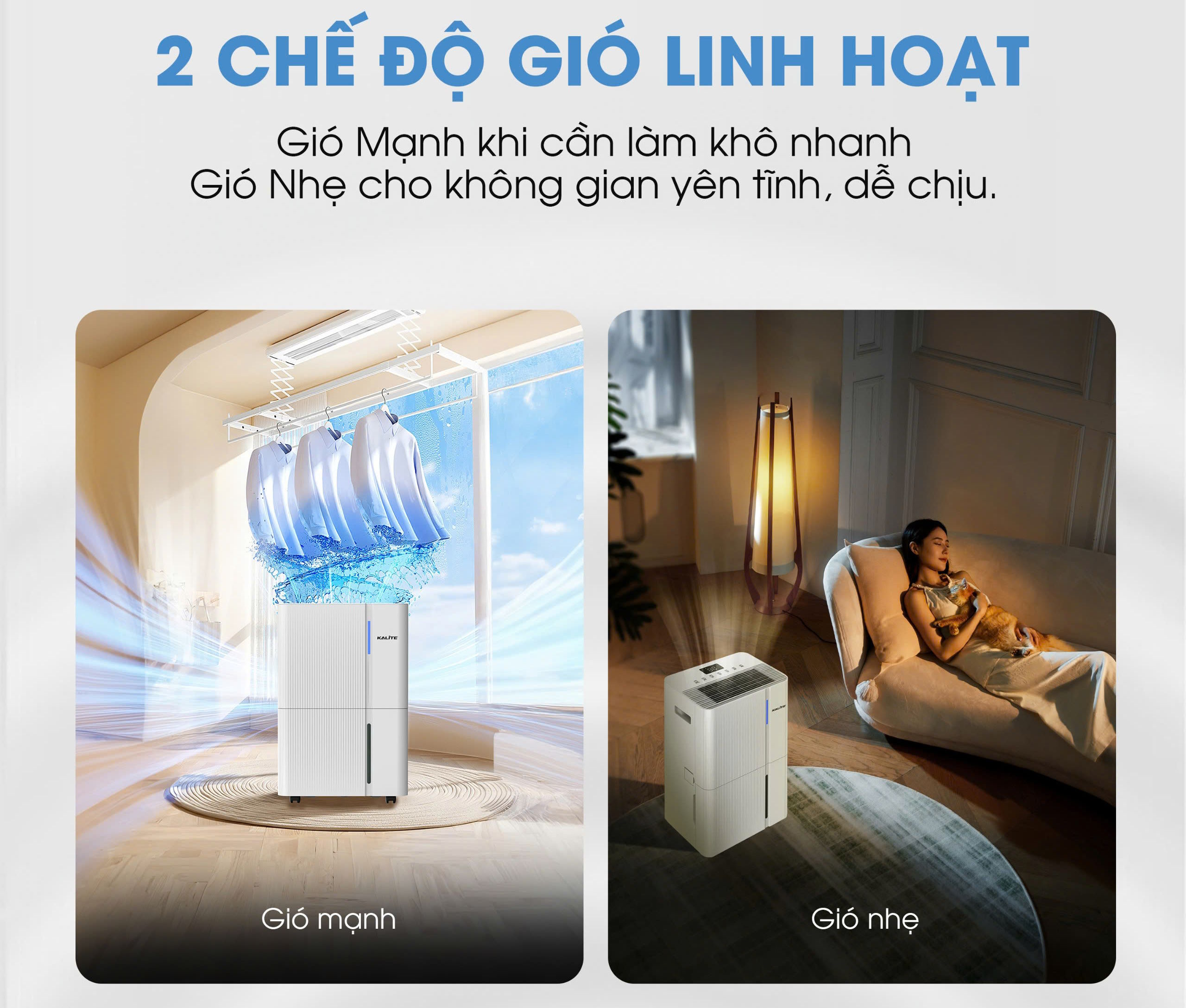 Máy hút ẩm Kalite