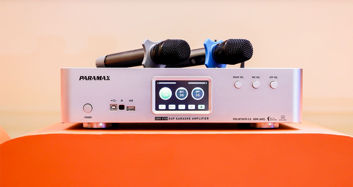 Amply karaoke Paramax Euro A700