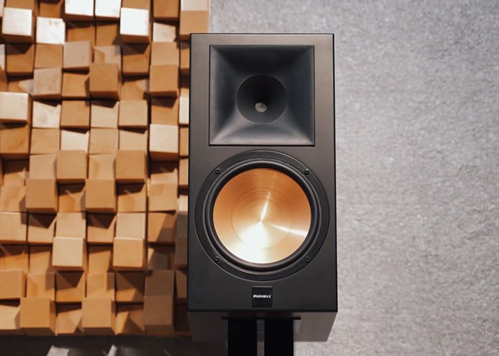 Loa bookshelf Paramax Euro 1001 Limited