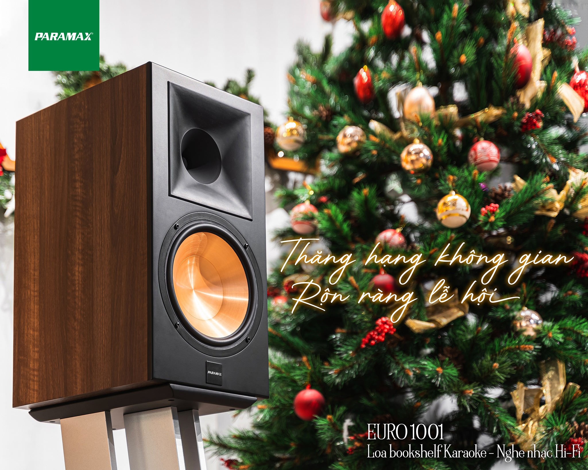 Loa Paramax Euro 1001 Limited