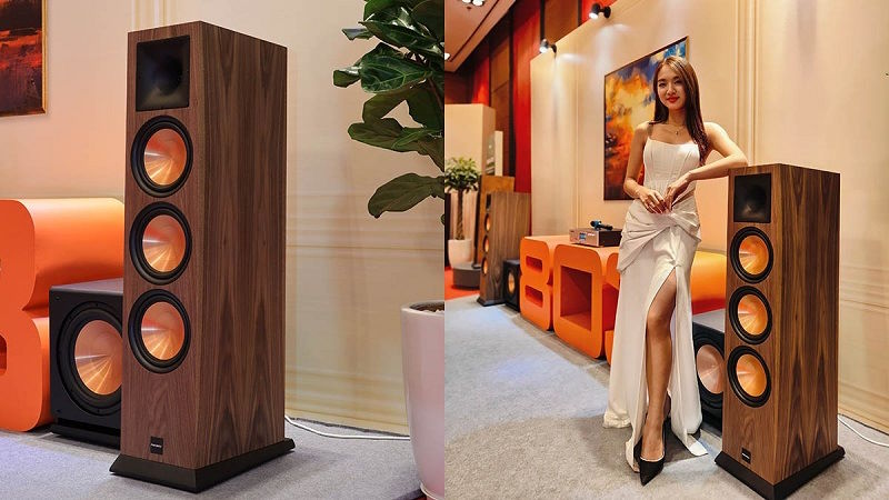 Công suất mạnh mẽ – Lấp đầy không gian lớn Paramax Euro 803 Classic