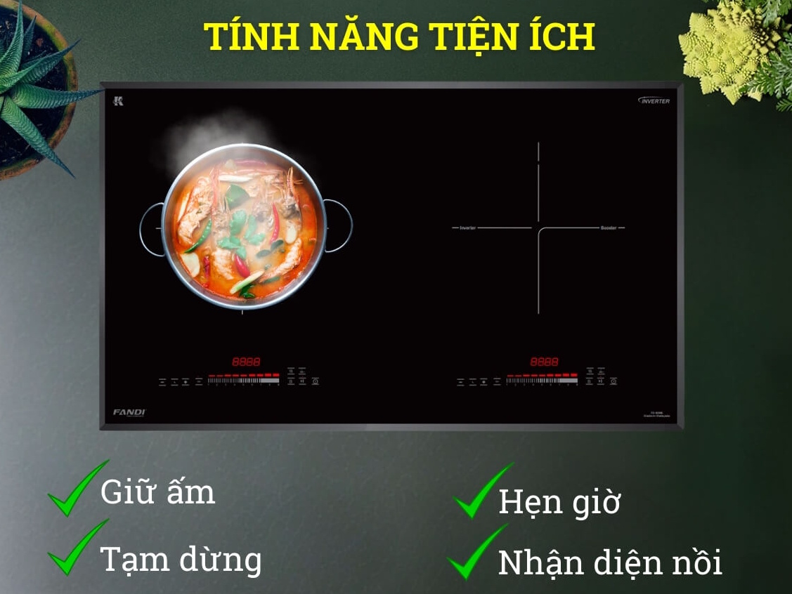 Bếp điện từ