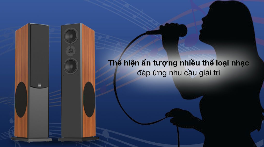 Loa nghe nhạc và karaoke Paramax