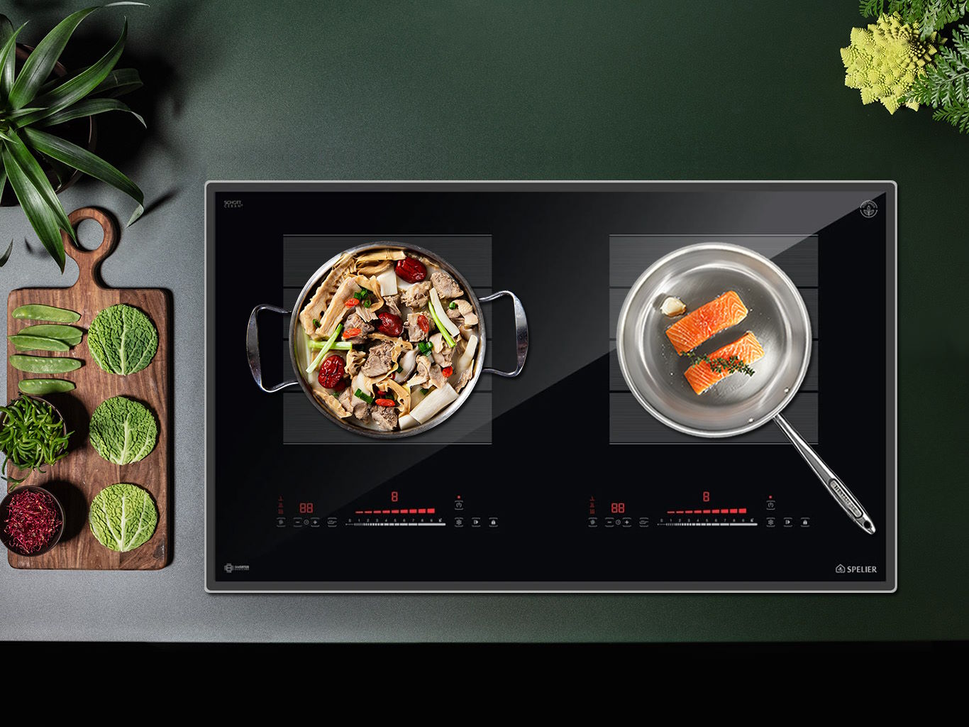 Bếp từ đôi Spelier