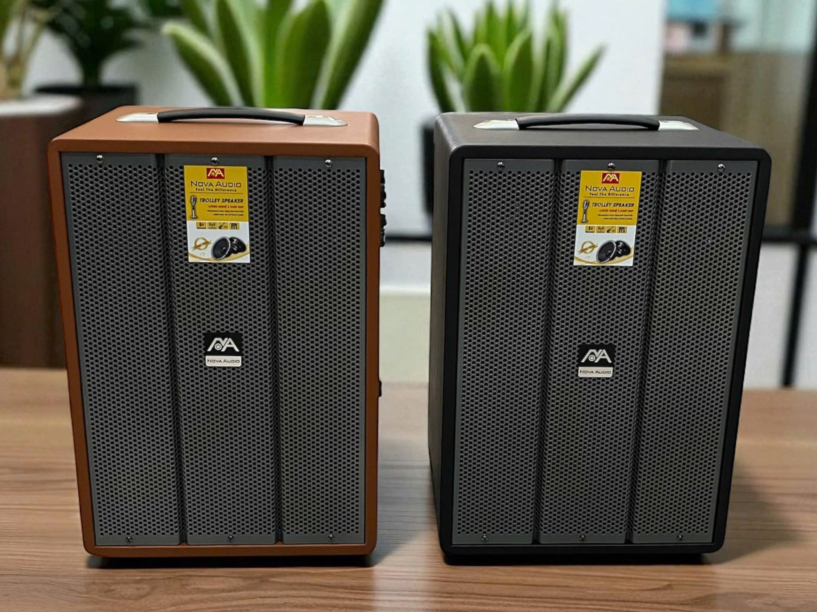 Loa karaoke di động Nova Audio F-30Max