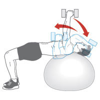 Các bước tập tạ tay để có cơ bắp săn chắc