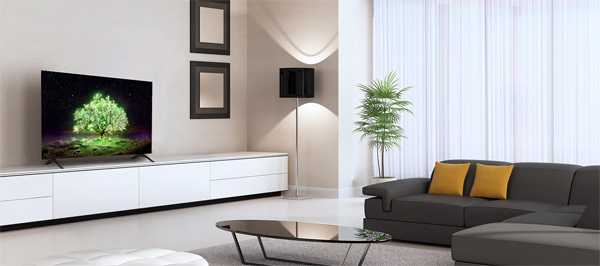 Tivi LG OLED65A1PTA 
