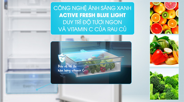 tủ lạnh Beko 558 lít