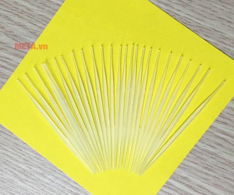 Tăm nguyên sinh TD không lo ẩm mốc khi sử dụng lâu ngày.