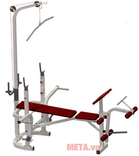 Ghế tập Multy Ben 501B (601521) sẽ mang lại cho bạn một thân hình nở nang và săn chắc hơn.