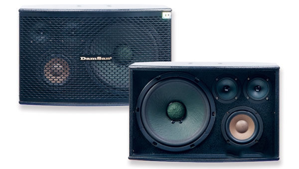 Loa karaoke DH 6900