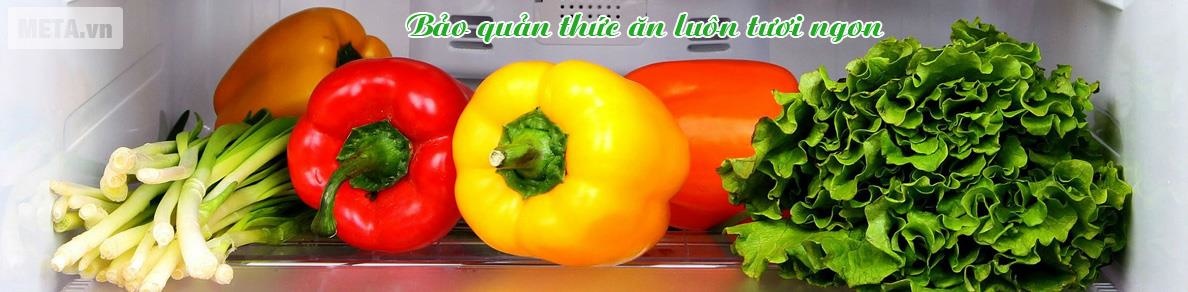 Tủ lạnh được coi như một thiết bị dùng trong gia đình hết sức thông dụng, giúp rau củ quả, thức ăn, đồ uống và gia vị giữ được vị tươi ngon