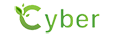 Cyber