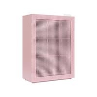 Máy lọc không khí Coway AP-1019C (P)