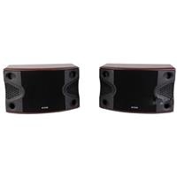 Loa karaoke Acnos SL-99N