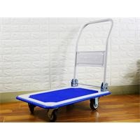 Xe đẩy hàng Phong Thạnh XTB100D