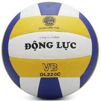 Bóng chuyền Động Lực DL 220C