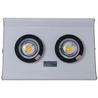 Đèn Led đánh cá Rạng Đông D DC04L/200W