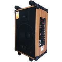 Loa kéo di động MTP M-12T Bass 30 - 2 Micro