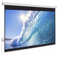 Màn chiếu điện DaLite P250ES 250 inch