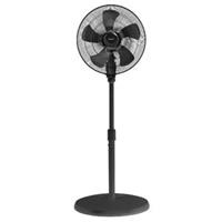 Quạt cây công nghiệp Thái Lan Hatari IP18M1