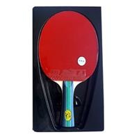 Vợt bóng bàn Double Fish 2A-C