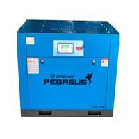 Máy nén khí trục vít Pegasus TMPM30A