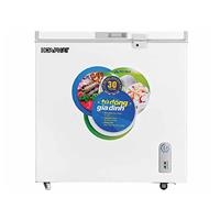 Tủ đông Hòa Phát HPF AN6162 162 lít