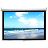 Màn chiếu treo Dalite (120 inch x 90 inch) PW150WS (150 inch)