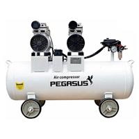 Máy nén khí không dầu 2HP Pegasus TM-OF750x2-70L