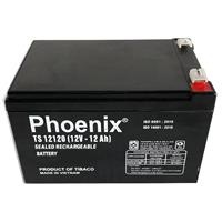 Ắc quy Phoenix 12V-12Ah TS12120