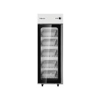 Tủ sấy chén bát tiệt trùng Fujihome DD300A - 300 lít
