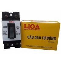 Aptomat 2P1E lắp nổi
