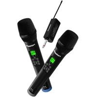 Micro Pasion Echo 2025