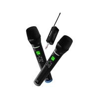 Micro Pasion Echo 2025