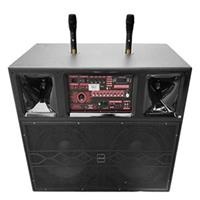Loa Karaoke di động Microtek MTK-660