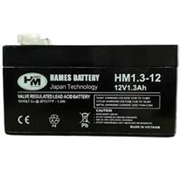 Ắc quy 12V 1.3Ah Hames HM1.3-12