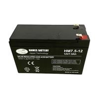 Ắc quy 12V 7.5Ah Hames HM7.5-12