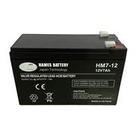 Ắc quy 12V 7Ah Hames HM7-12
