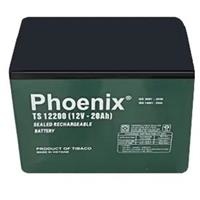 Ắc quy Phoenix TS12200 (12V - 20AH)