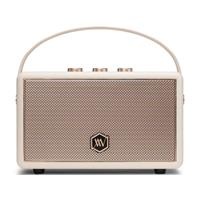 Loa Bluetooth Alpha Works AW-W89