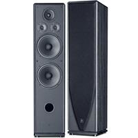 Loa karaoke đứng Nanomax S-685