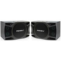 Loa karaoke Paramax P1000