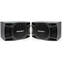 Loa karaoke Paramax P1000
