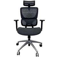 Ghế công thái học Ergonomic BC-102V1 đen