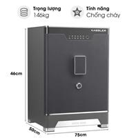 Két thông minh Kassler KL-75LS6