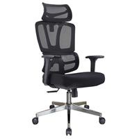 Ghế công thái học The One GLE01